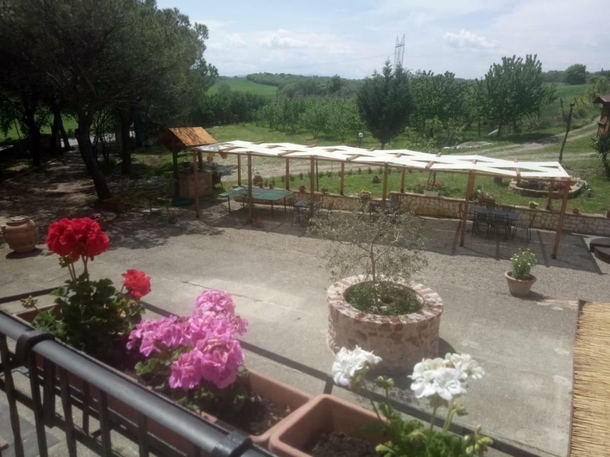 Agriturismo Colle Al Sole Daire Castiglione del Lago Dış mekan fotoğraf