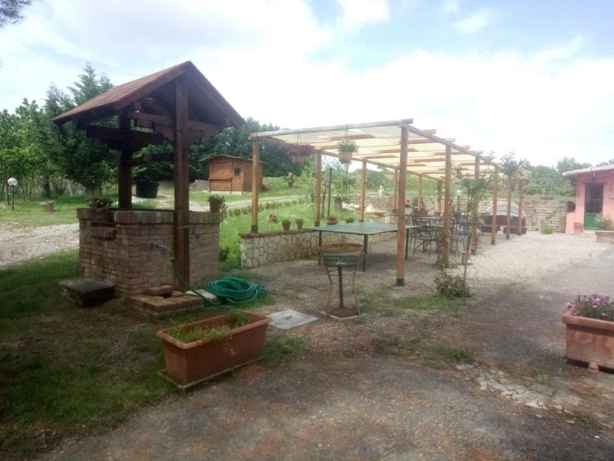 Agriturismo Colle Al Sole Daire Castiglione del Lago Dış mekan fotoğraf
