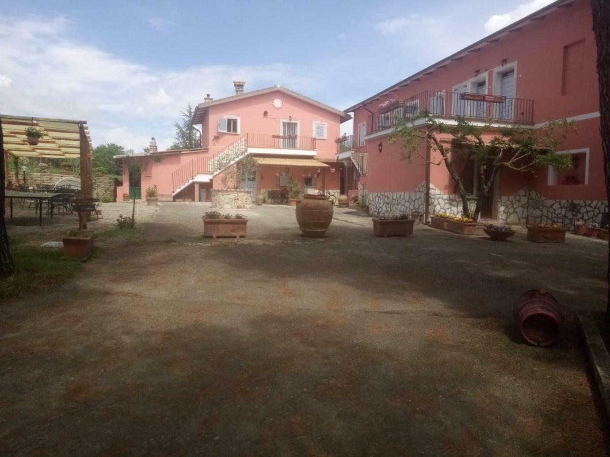 Agriturismo Colle Al Sole Daire Castiglione del Lago Dış mekan fotoğraf