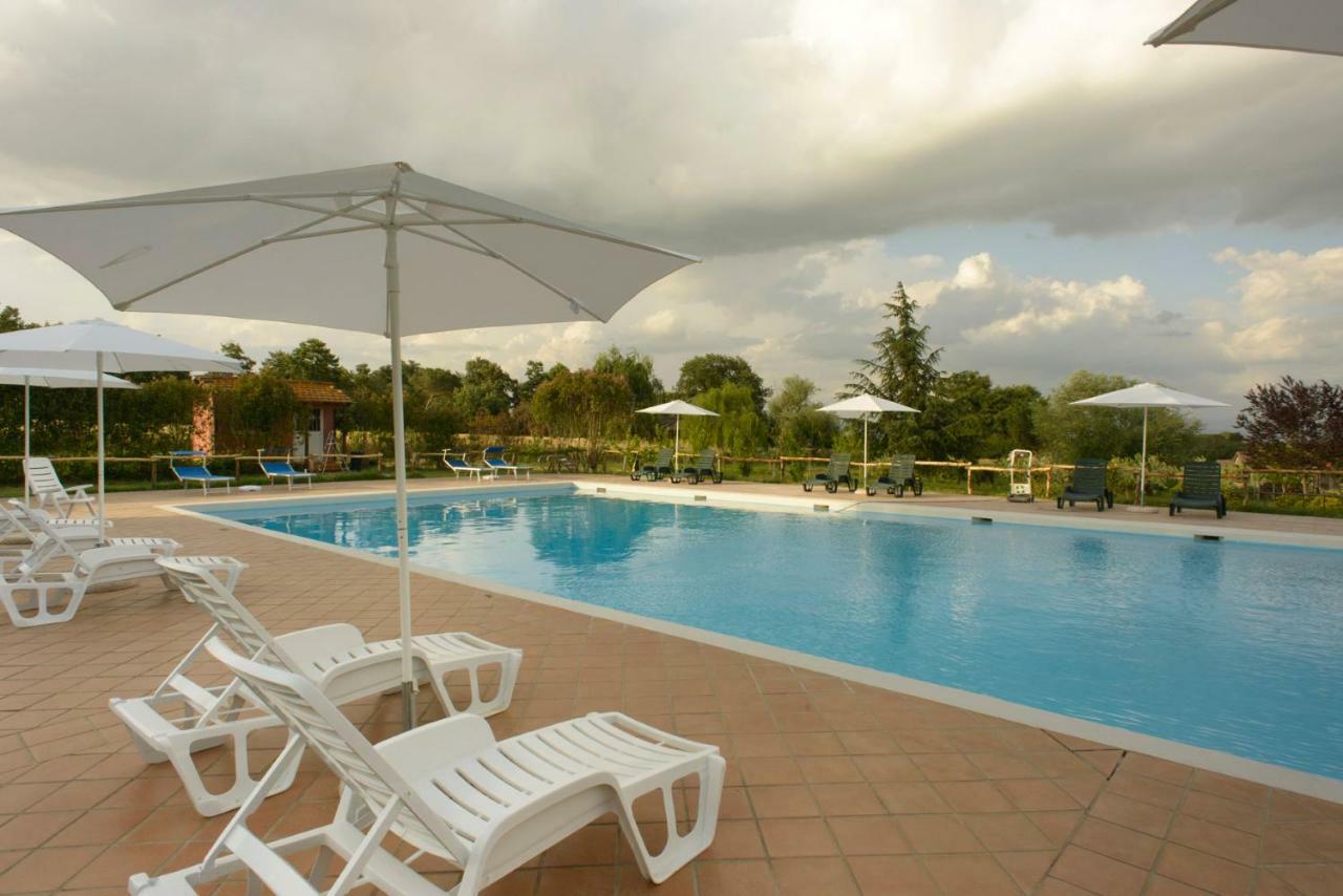 Agriturismo Colle Al Sole Daire Castiglione del Lago Dış mekan fotoğraf