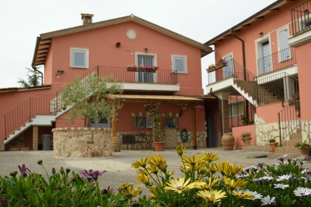 Agriturismo Colle Al Sole Daire Castiglione del Lago Dış mekan fotoğraf